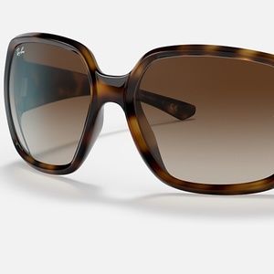 Ray Ban Powderhorn Sunglasses